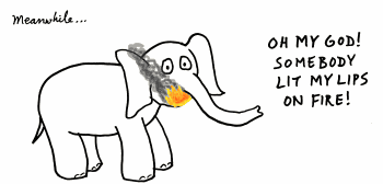 blanka elefanto